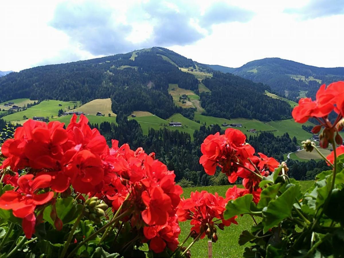 Aussermooserhof อัลพ์บาค ภายนอก รูปภาพ