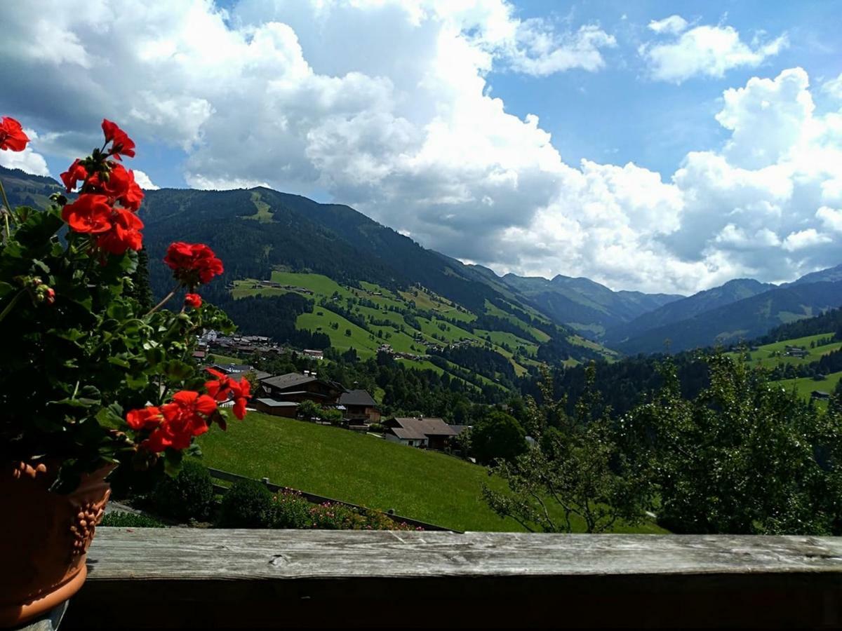 Aussermooserhof อัลพ์บาค ภายนอก รูปภาพ